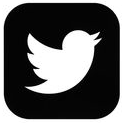 logo-twitter.png (11 KB)